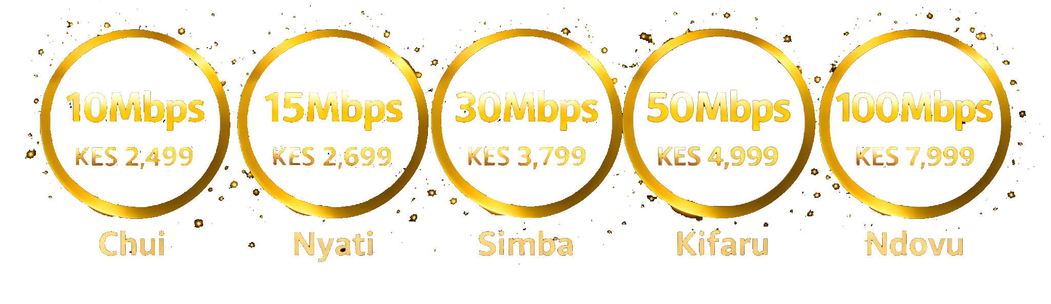 Internet packages - Chui 10Mbps, Nyati 15Mbps, Simba 30Mbps, Kifaru 50Mbps, Ndovu 100Mbps